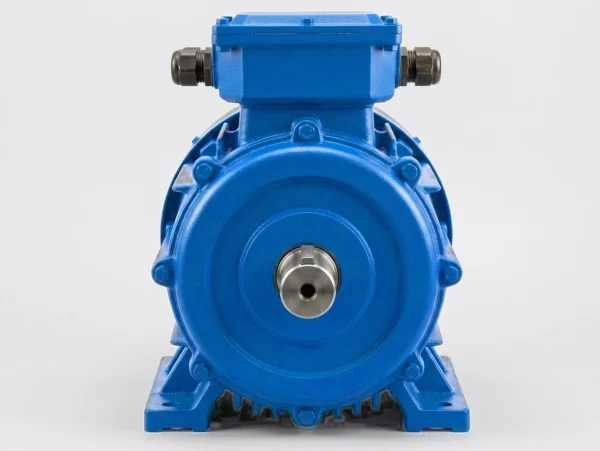 edpm-ex-mine-exp-vra-l-03 Электродвигатель ВРА 160M6