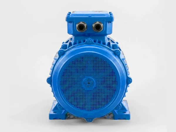 edpm-ex-mine-exp-vra-l-04 Электродвигатель ВРА 160M6