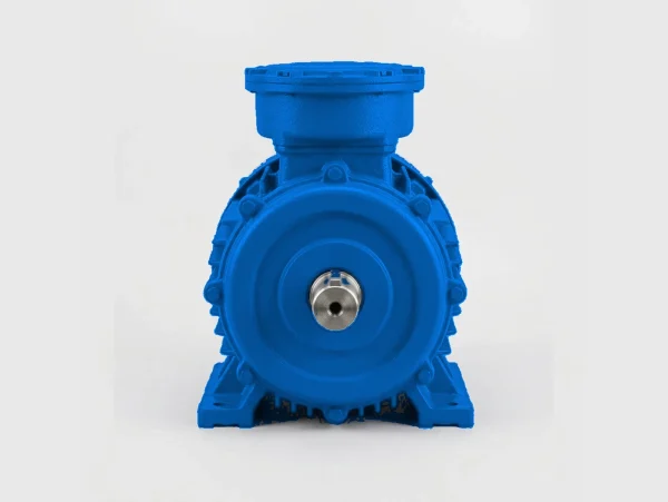 edpm-ex-mine-exp-vrp-l-03 Электродвигатель ВРП 160 М8 У2,5 380/660В, кл изоляции Н, PBExdI Mb, PTC (статор), 11/750 IM 1081
