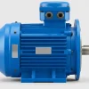 edpm-ex-petro-exp-aiml-lf-02 Электродвигатель АИМЛ 80 А2