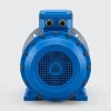 edpm-ex-petro-exp-aiml-lf-04 Электродвигатель АИМЛ 80 А2