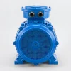 edpm-ex-petro-exp-va-l-04 Электродвигатель ВА 315S2