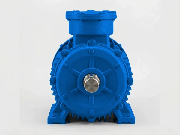 edpm-ex-petro-exp-vao2-l-03 Электродвигатель ВАО2 315 S2-1 380/660В, кл. изоляции N, 1ЕхdIIBT4Gb, РТС (cтатор), независимая вентиляция, подшипники SKF (задний токоизолир.), 160/3000 IM 1001