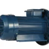 Эл.двигатель 5АИ 71 А4 ED 0.55/1500  IM 2081