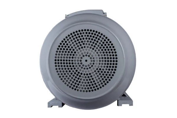 Эл.двигатель ESQ PR 280 M6-SDN-Б1-S12-IE2 55/1000 IM B3