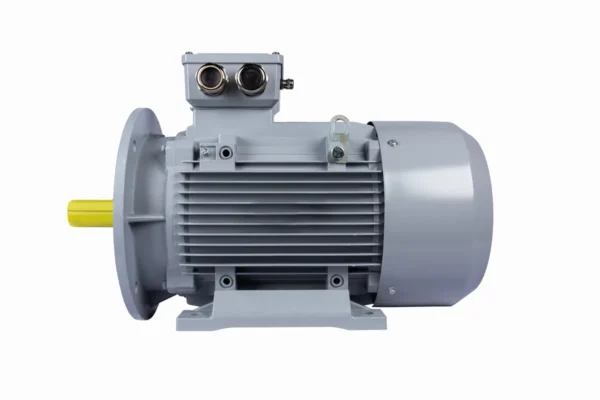 Эл.двигатель ESQ PR 180 L4-SDN-Б1-S12-IE2 22/1500 IM B35