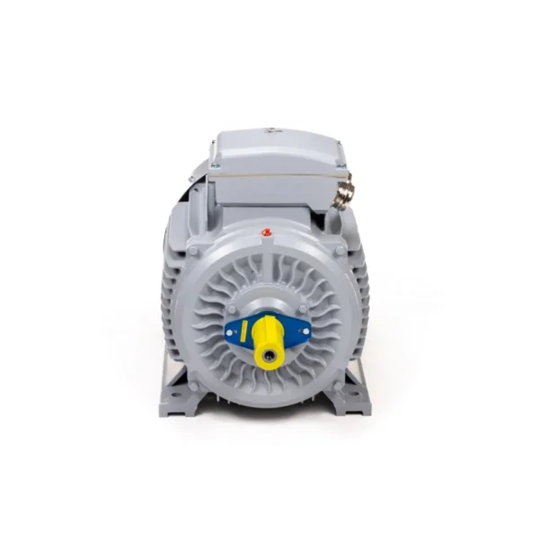 Эл.двигатель ESQ PR 180 M2-SDN-Б1-S12-IE3 22/3000 IM B3
