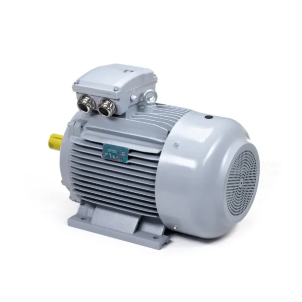 Эл.двигатель ESQ PR 180 M2-SDN-Б1-S12-IE3 22/3000 IM B3