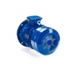 Эл.двигатель ESQ 160 L2-SDN-DS 18.5/3000  IM B5