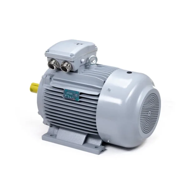 Эл.двигатель ESQ PR 315 LA4-SDN-Б1-S32-IE2 160/1500 IM B3