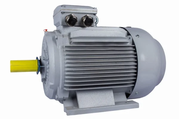 Эл.двигатель ESQ PR 280 S4-SDN-Б1-S12-IE2 75/1500 IM B3
