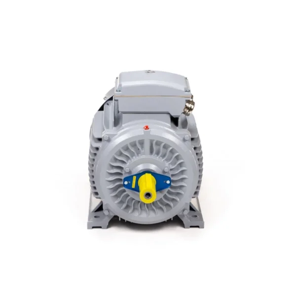Эл.двигатель ESQ PR 355 MA2-SDN-Б1-S12-IE3 250/3000 IM B3