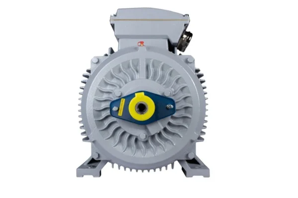 Эл.двигатель ESQ PR 280 M6-SDN-Б1-S12-IE2 55/1000 IM B3