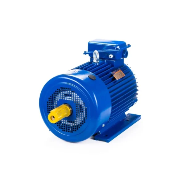 Эл.двигатель 5МТКН 225 L6 55/1000  IM 1003
