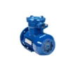 4ca8c8c5814b826d3a37048cdabebc638b9cfc64.webp Эл.двигатель АИМУ 63 В2 У1, 380В, 1ExdIIBT4 Gb, 0.55/3000 IM 2081