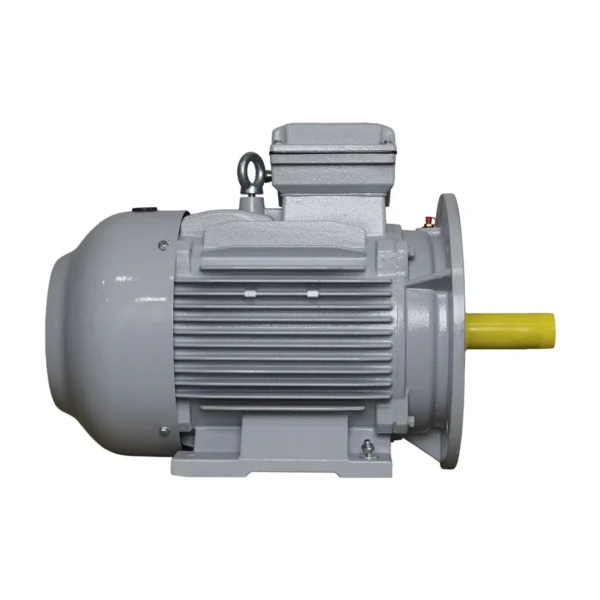 Эл.двигатель ESQ PR 160 L2-SDN-Б1-S12-IE2 18.5/3000 IM B35