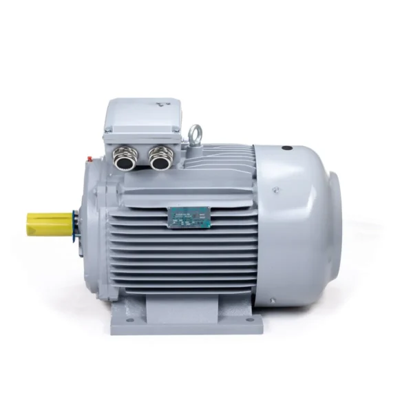 Эл.двигатель ESQ PR 315 LA4-SDN-Б1-S32-IE2 160/1500 IM B3