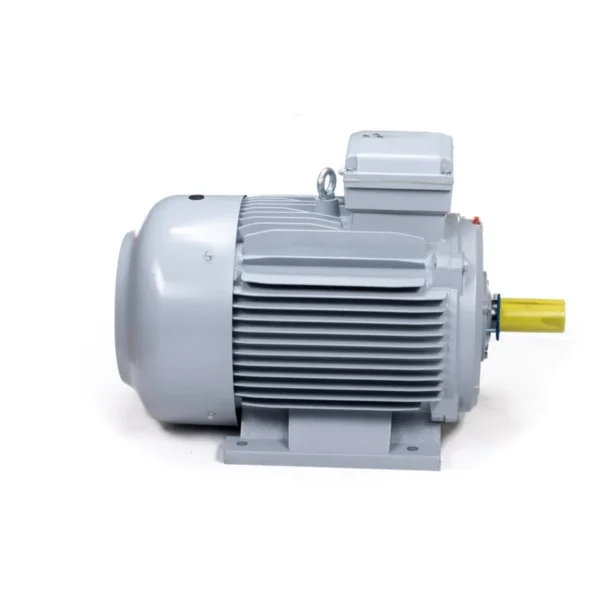 Эл.двигатель ESQ PR 180 M2-SDN-Б1-S12-IE3 22/3000 IM B3