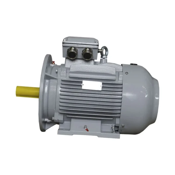 Эл.двигатель ESQ PR 160 L2-SDN-Б1-S12-IE2 18.5/3000 IM B35