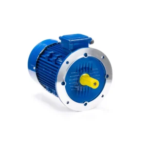 Эл.двигатель ESQ 160 L2-SDN-DS 18.5/3000  IM B5