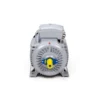 Эл.двигатель ESQ PR 315 S2-SDN-Б1-S12-IE2 110/3000 IM B3