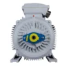 Эл.двигатель ESQ PR 280 S6-SDN-Б1-S12-IE2 45/1000 IM B3