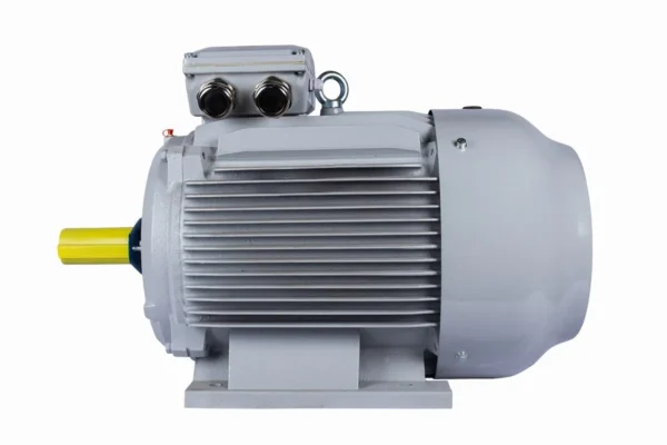 Эл.двигатель ESQ PR 280 S6-SDN-Б1-S12-IE2 45/1000 IM B3