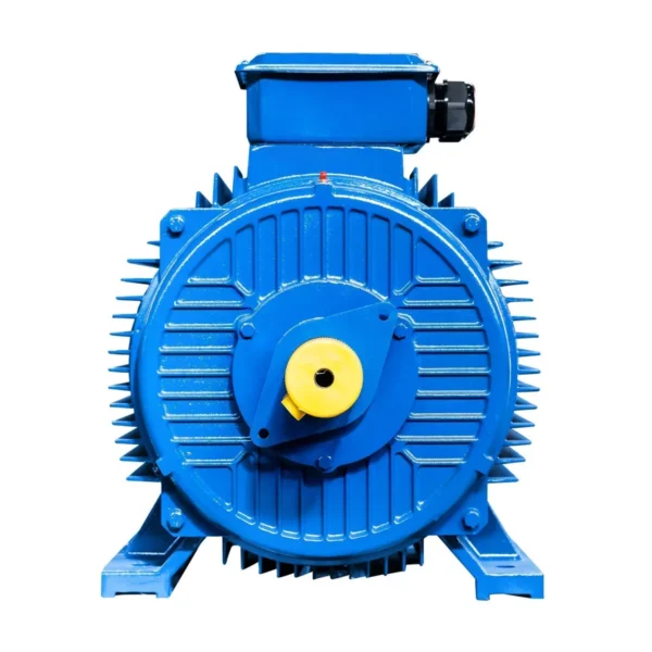 Эл.двигатель 5АИ 280 S2 110/3000 IM 1001