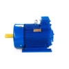 Электродвигатель МТКН 200 LB8 22/750 IM 1003