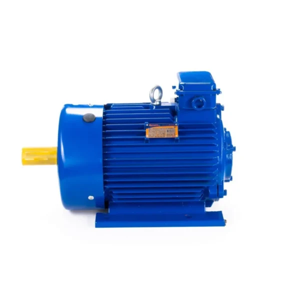 Электродвигатель МТКН 200 LB8 22/750 IM 1003