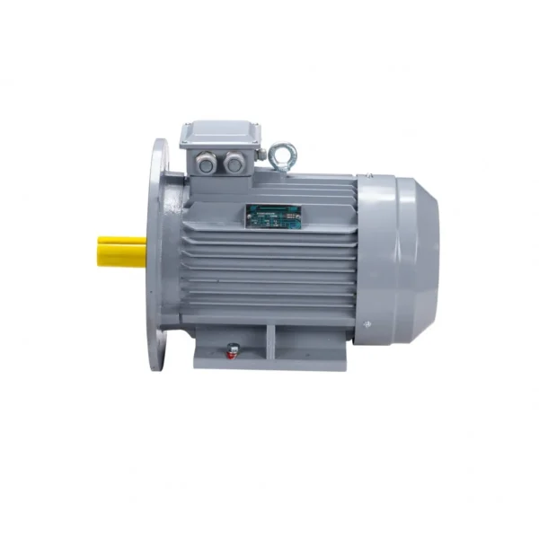Эл.двигатель ESQ PR 100 L4 GST-Б1-S12-IE2 4/1500 IM 2081