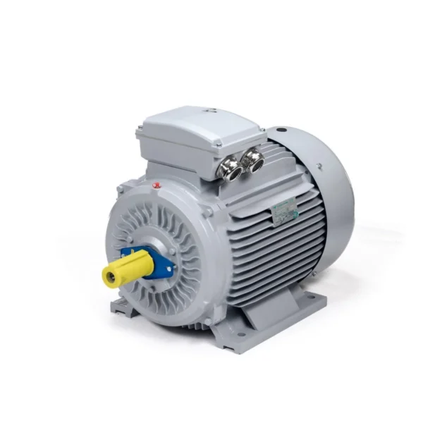 Эл.двигатель ESQ PR 315 LA4-SDN-Б1-S32-IE2 160/1500 IM B3