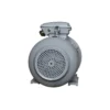 Эл.двигатель ESQ PR 160 L2-SDN-Б1-S12-IE2 18.5/3000 IM B35