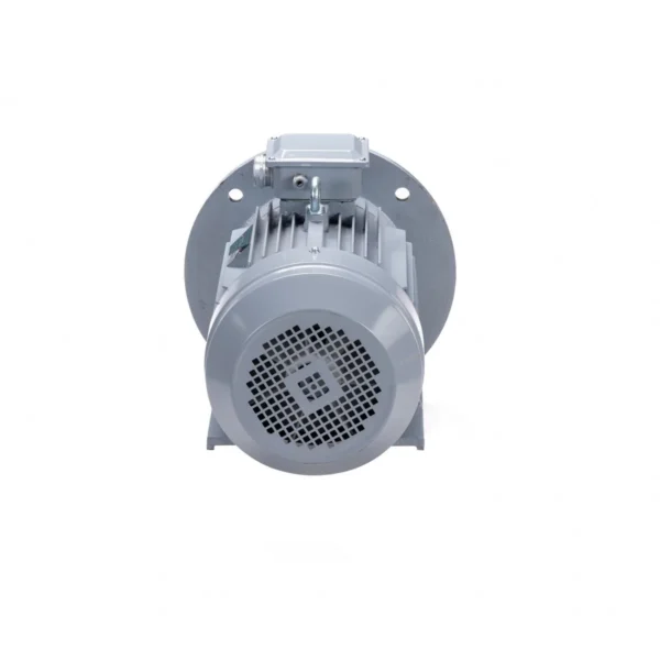 Эл.двигатель ESQ PR 100 L4 GST-Б1-S12-IE2 4/1500 IM 2081