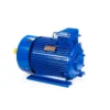 Эл.двигатель 5МТКН 225 М8 30/750  IM 1003