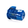 Эл.двигатель ESQ 160 L2-SDN-DS 18.5/3000  IM B5