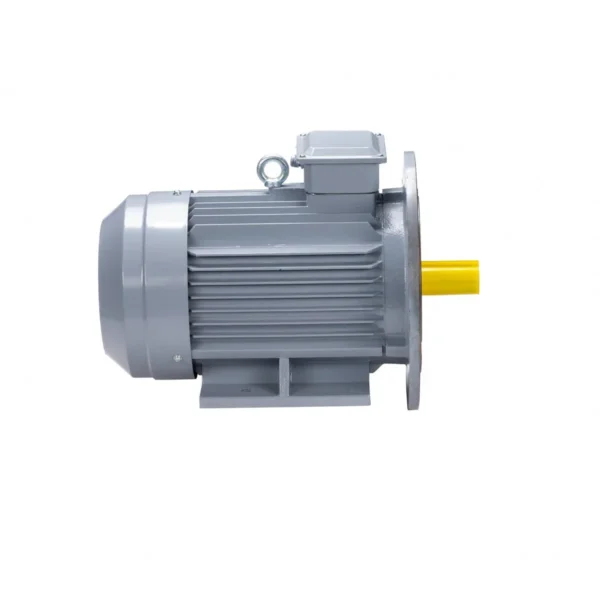 Эл.двигатель ESQ PR 100 L4 GST-Б1-S12-IE2 4/1500 IM 2081