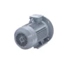Эл.двигатель ESQ PR 100 L4 GST-Б1-S12-IE2 4/1500 IM 2081