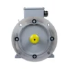 Эл.двигатель ESQ PR 100 LB4-SDN-Б1-S12-IE3 3/1500 IM B35