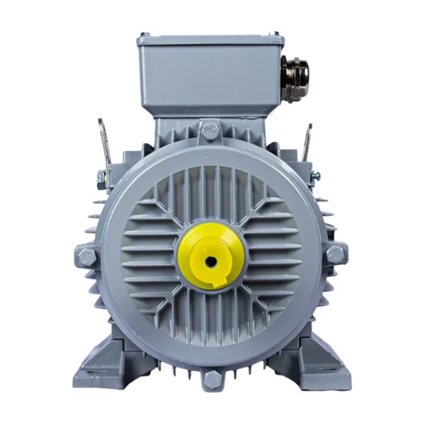 Эл.двигатель ESQ PR 100 L6-SDN-Б1-S12-IE3 1.5/1000 IM B3