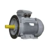 Эл.двигатель ESQ PR 160 L2-SDN-Б1-S12-IE2 18.5/3000 IM B35