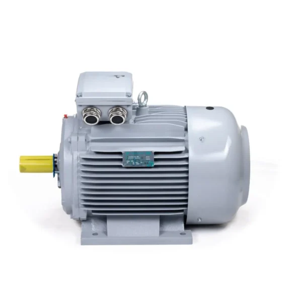 Эл.двигатель ESQ PR 180 M2-SDN-Б1-S12-IE3 22/3000 IM B3