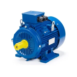 Электродвигатель АИР 100 L2 5,5/3000 IM 1081